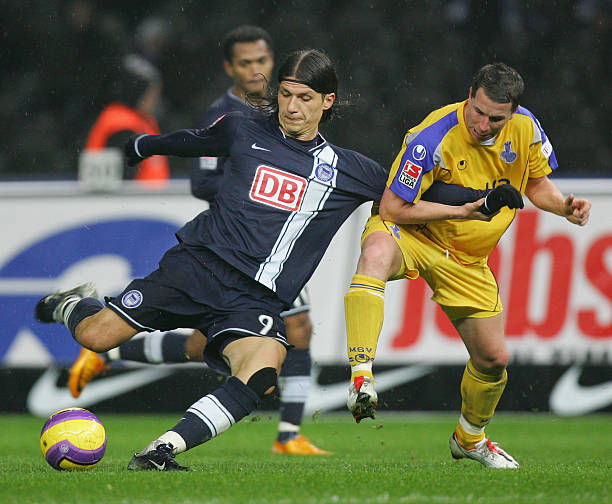 中国游泳队 中国游泳队