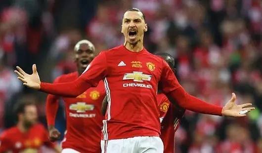 游泳世界杯 游泳世界杯